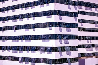 中国篮球职业联赛青训体系建设与优化，中国青年篮球队